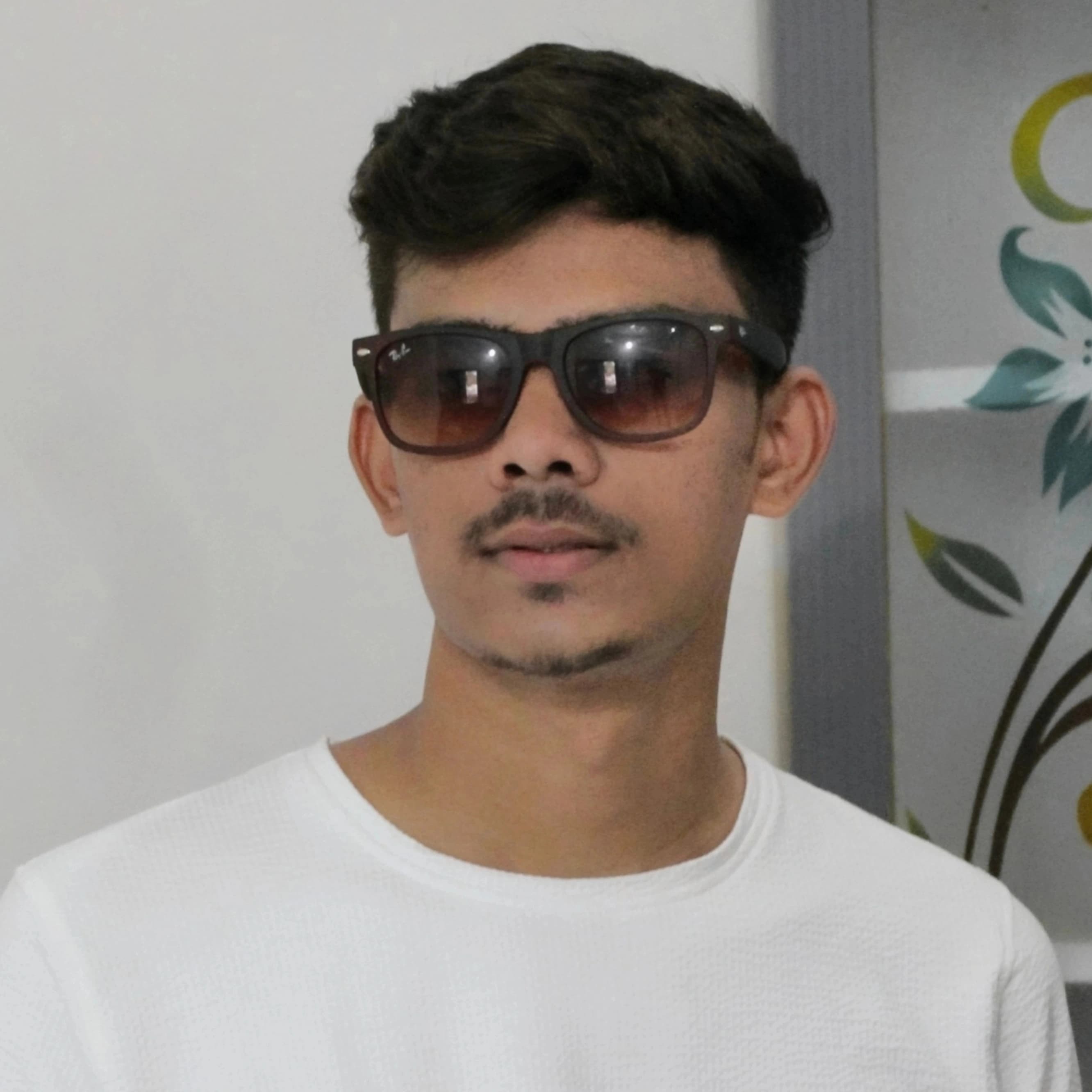 Krish Prajapati